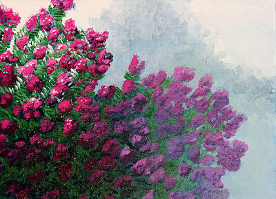 The Who - Crape Myrtle by Maura Satchell