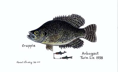 Garden Fruits - Crappie and Arbogast Twin Liz Lure 1938 by Daniel Lindvig