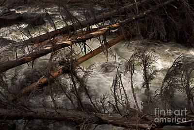 Misty Fog Rights Managed Images - Crazy Creek   #2104 Royalty-Free Image by J L Woody Wooden