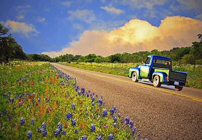 Delicate Orchids - Crusin the Hill Country in Spring by Lynn Bauer