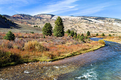Just Desserts Rights Managed Images - Crystal Creek in the Gros Ventre Royalty-Free Image by Kathleen Bishop