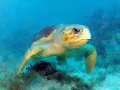 Best Sellers - Reptiles Mixed Media - Curious Sea Turtle by David Van Hulst