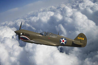 Animals Photos - Curtiss P-40 Warhawk Flying Tigers by Adam Romanowicz