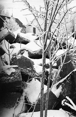 Beach House Shell Fish Rights Managed Images - Cut stone blocks backyard snow Aberdeen South Dakota 1965 black and white Royalty-Free Image by David Lee Guss