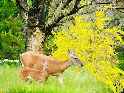 Animal Portraits - Doe and Fawn White-tails by Grace Dillon