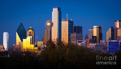 Skylines Rights Managed Images - Dallas Skyline Royalty-Free Image by Inge Johnsson