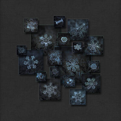 Maps - Snowflake collage - Dark crystals 2012-2014 by Alexey Kljatov