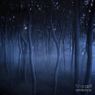 Modern Man Movies - Dark, Misty Forest, Liselund Slotspark by Evgeny Kuklev
