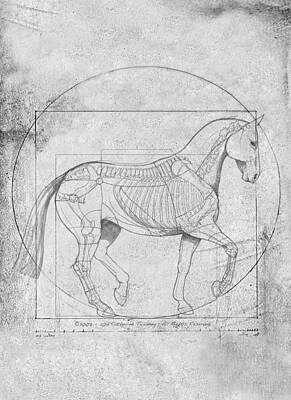 Animals Digital Art Royalty Free Images - Da Vinci Horse Piaffe Grayscale Royalty-Free Image by Catherine Twomey