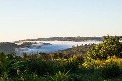 Grape Vineyards Rights Managed Images - Dawn over northern Panama Royalty-Free Image by Craig Lapsley