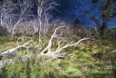 Mountain Rights Managed Images - Dead trees in Snowy Mountains Royalty-Free Image by Sheila Smart Fine Art Photography