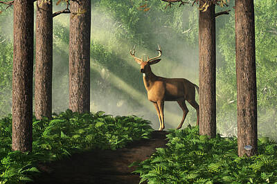 Mammals Digital Art - Deer on a Forest Path by Daniel Eskridge