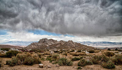Mammals Royalty-Free and Rights-Managed Images - Desert Rain Storm by Cat Connor