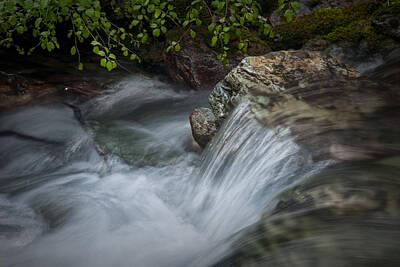 Wine Down Rights Managed Images - Detail of a Small Water Fall in a Stream Royalty-Free Image by Randall Nyhof