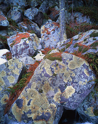 Abstract Cement Walls - Devils Lake Boulders by Ray Mathis