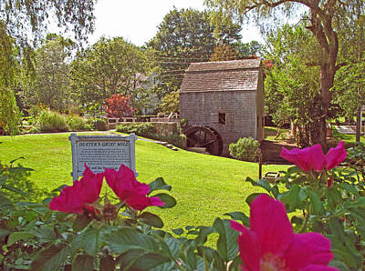 Floral Photos - Dexters Grist Mill Two by Barbara McDevitt