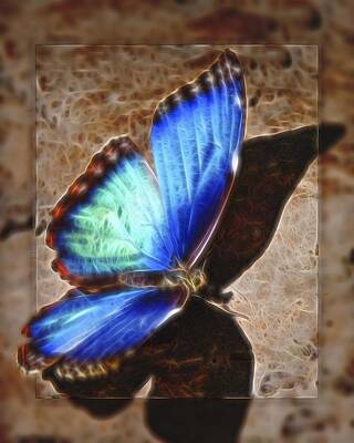 Typographic World Royalty Free Images - Digital Art Blue Morpho Butterfly 1 Royalty-Free Image by Walter Herrit