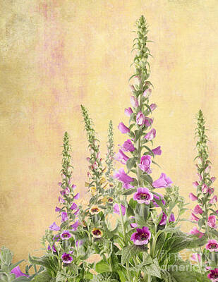 Underwood Archives - Foxgloves by Julie Woodhouse
