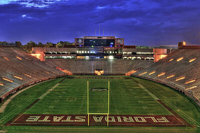 Landscapes Royalty-Free and Rights-Managed Images - Doak Campbell Stadium by Alex Owen