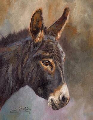 Mammals Paintings - Donkey by David Stribbling