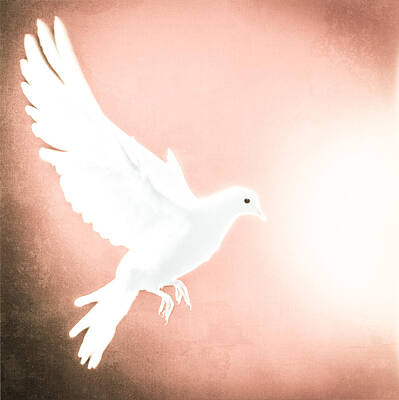 Birds Photo Rights Managed Images - Dove In Flight Red Royalty-Free Image by Yo Pedro