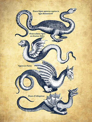 Fantasy Digital Art - Dragons - Historiae naturalis  - 1657 - Vintage by Aged Pixel