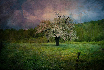 Little Mosters Rights Managed Images - Dream of Spring Royalty-Free Image by Jeff Folger