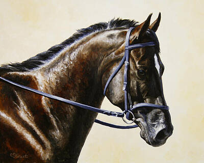 Animals Paintings - Dressage Horse - Concentration by Crista Forest