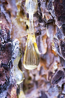 Space Photographs Of The Universe - Dripping Sap by Michael R Erwine