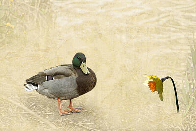 Kids All - Duck and Tulip by Christine Sponchia