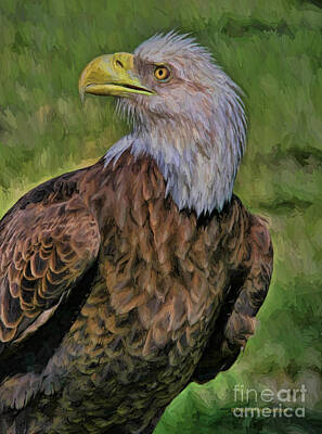 Unicorn Dust - Eagle Portrait Oil by Deborah Benoit