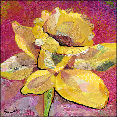 Royalty-Free and Rights-Managed Images - Early Spring III  Daffodil Series by Shadia Derbyshire