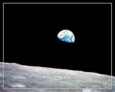 Roses Royalty-Free and Rights-Managed Images - Earthrise NASA by Rose Santuci-Sofranko