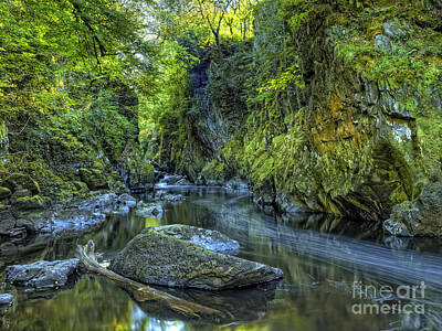 Catch Of The Day - Fairy Glen Betws y Coed North Wales by Darren Wilkes