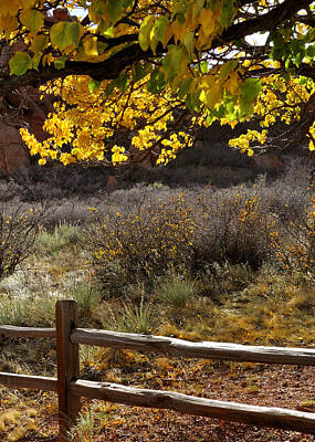 Jerry Sodorff Royalty-Free and Rights-Managed Images - Fall Canopy and Fence 12476 by Jerry Sodorff