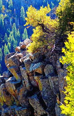 Jerry Sodorff Rights Managed Images - Fall Color Rocks 23542 Royalty-Free Image by Jerry Sodorff