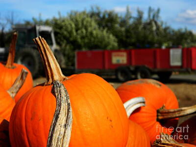 Fantasy Ryan Barger Royalty Free Images - Fall Hayride Royalty-Free Image by Andrea Anderegg