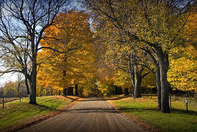 Randall Nyhof Royalty-Free and Rights-Managed Images - Fall Rural Country Gravel Road by Randall Nyhof
