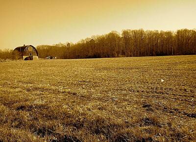 Vintage Buick - Farm Field With Old Barn in Sepia by Chris W Photography AKA Christian Wilson
