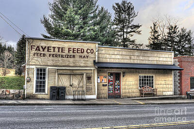 The Cactus Collection Rights Managed Images - Fayette Feed Co Royalty-Free Image by Dan Friend
