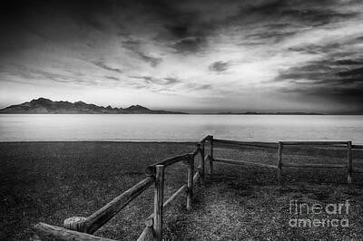 Holiday Pillows 2019 - Fence By the Salt Flats BW by Mitch Johanson