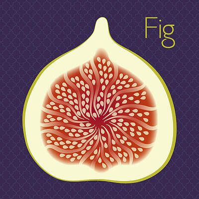 Food And Beverage Digital Art Rights Managed Images - Fig Royalty-Free Image by Christy Beckwith