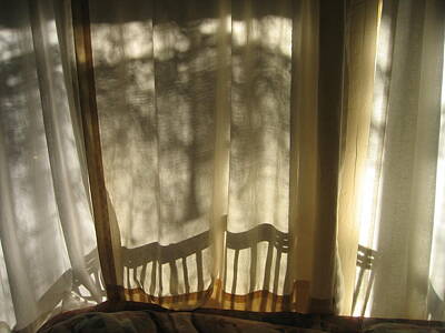 Minimalist Movie Quotes - Film noir cinematographer Bruce Surtees front window shadows Casa Grande Arizona 2005 by David Lee Guss