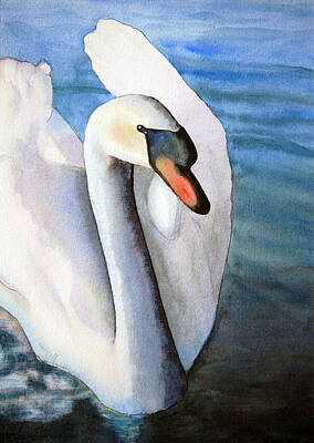 Birds Royalty-Free and Rights-Managed Images - First Swan by Flamingo Graphix John Ellis