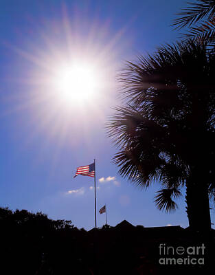 Negative Space Rights Managed Images - Flags and Palms Royalty-Free Image by Photos By  Cassandra