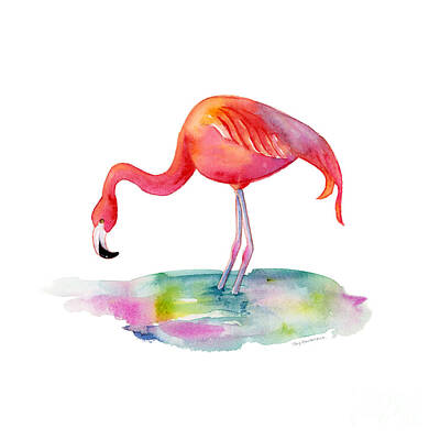 Birds Paintings - Flamingo Dip by Amy Kirkpatrick