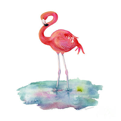 Best Sellers - Birds Painting Rights Managed Images - Flamingo Pose Royalty-Free Image by Amy Kirkpatrick