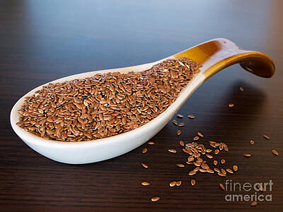 Catch Of The Day - Flax seed by Sinisa Botas