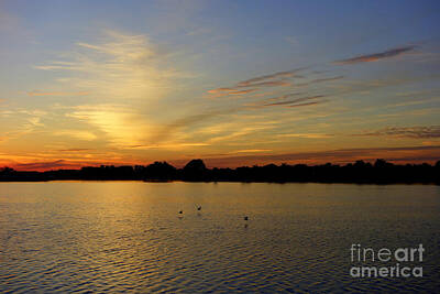 Frog Photography Rights Managed Images - Florida sunset 11 Royalty-Free Image by De La Rosa Concert Photography