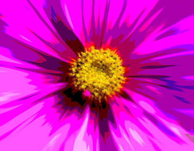 Royalty-Free and Rights-Managed Images - Flower Explosion Colour by David French